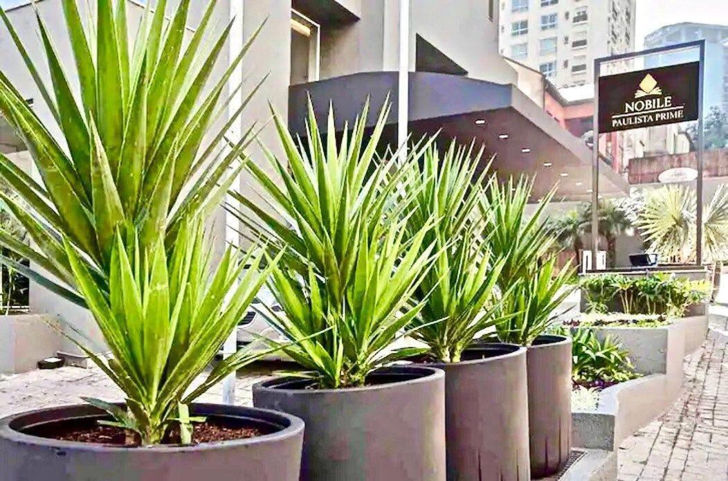 Appartamento Flat Whynd Paulista Al Campinas 540 San Paolo Esterno foto